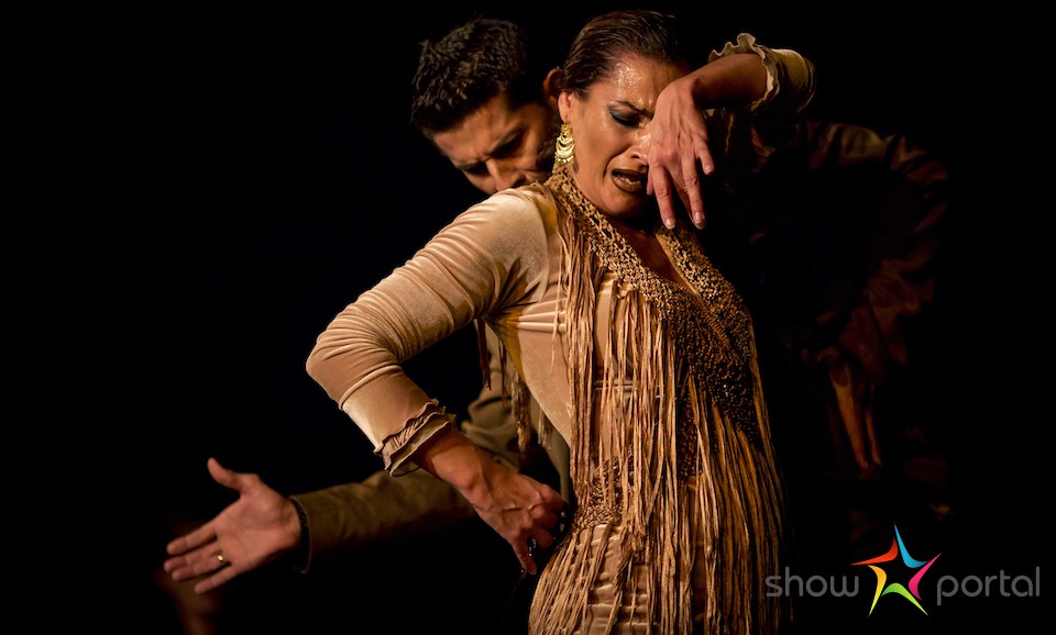 Flamenco - koncerty a tanec