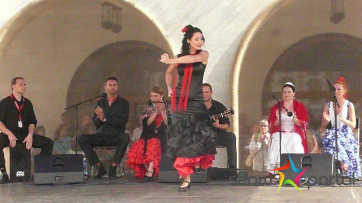 FLAMENCO - Aires del Sur