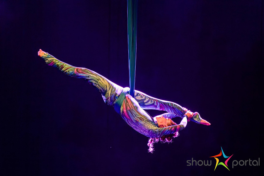 Aerial hammock - Forest balade | Aurora Acro