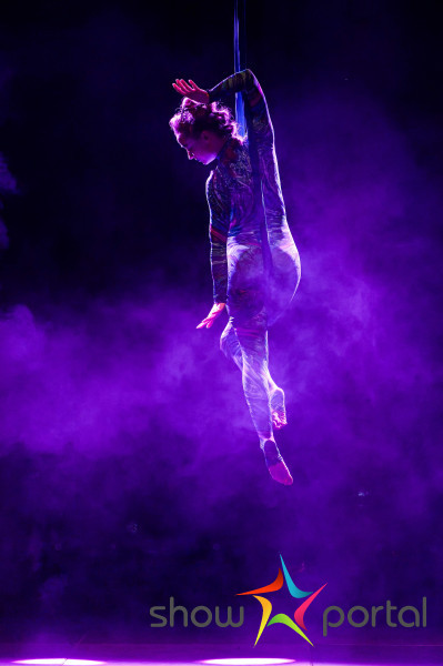 Aerial hammock - Forest balade | Aurora Acro