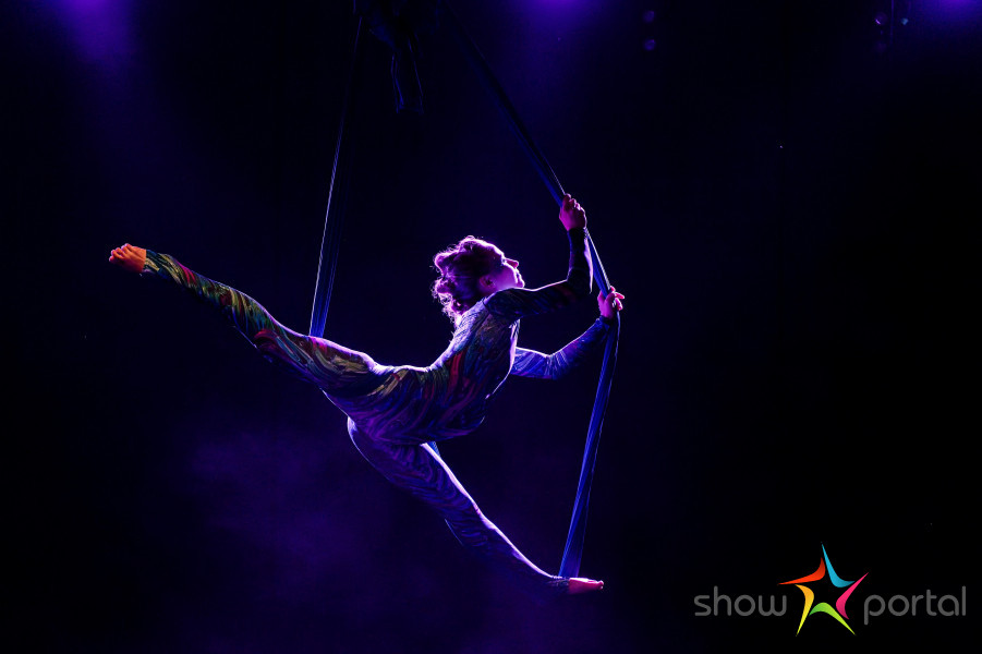 Aerial hammock - Forest balade | Aurora Acro