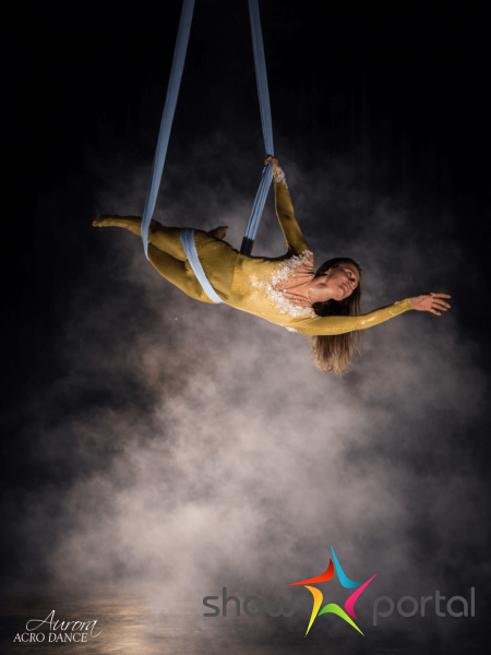 Aerial hammock - Never enough | Aurora Acro