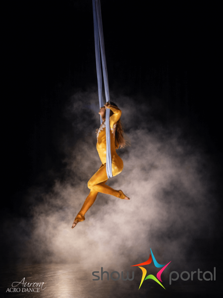 Aerial hammock - Never enough | Aurora Acro