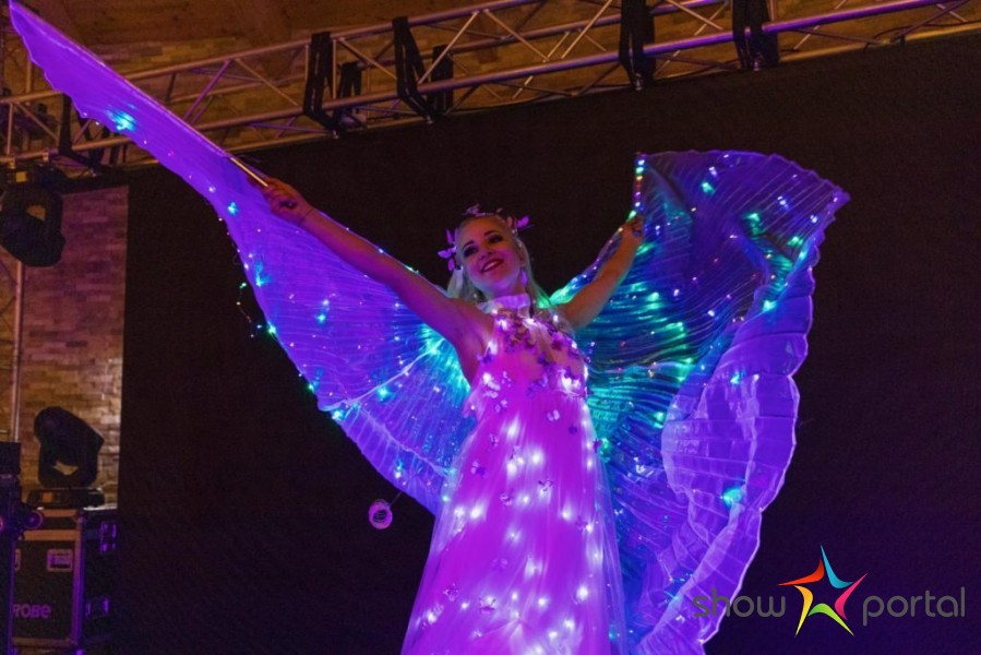 LED show: Motýlí víly
