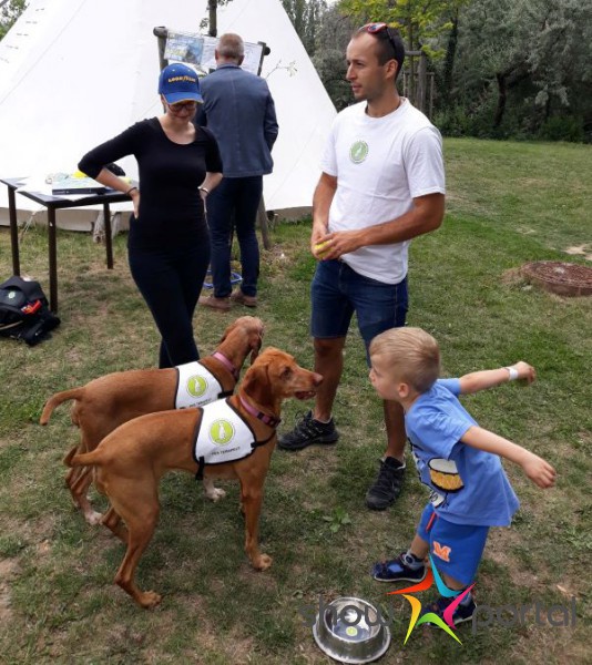 WORKSHOP S PEJSKY
