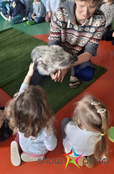 Slepičkový workshop