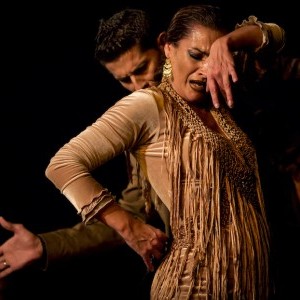 Flamenco - koncerty a tanec