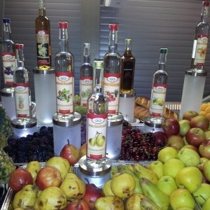 FREE SPIRIT NIGHT - ochutnávka ovocných pálenek