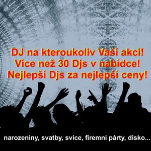 DJs nejen na svatby, oslavy, plesy, diskotéky, firemní večírky a jiné párty