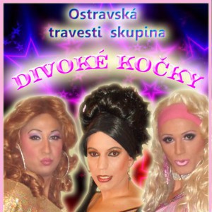 Travesti Divoké kočky